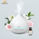 Remax CHAN series aroma diffuser RT-A810