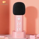 Joyroom JR-K2 microphone