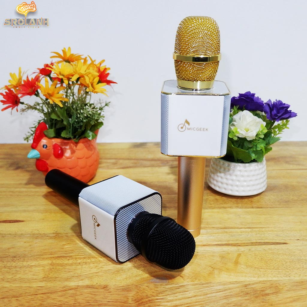 Microphone Speaker Q9