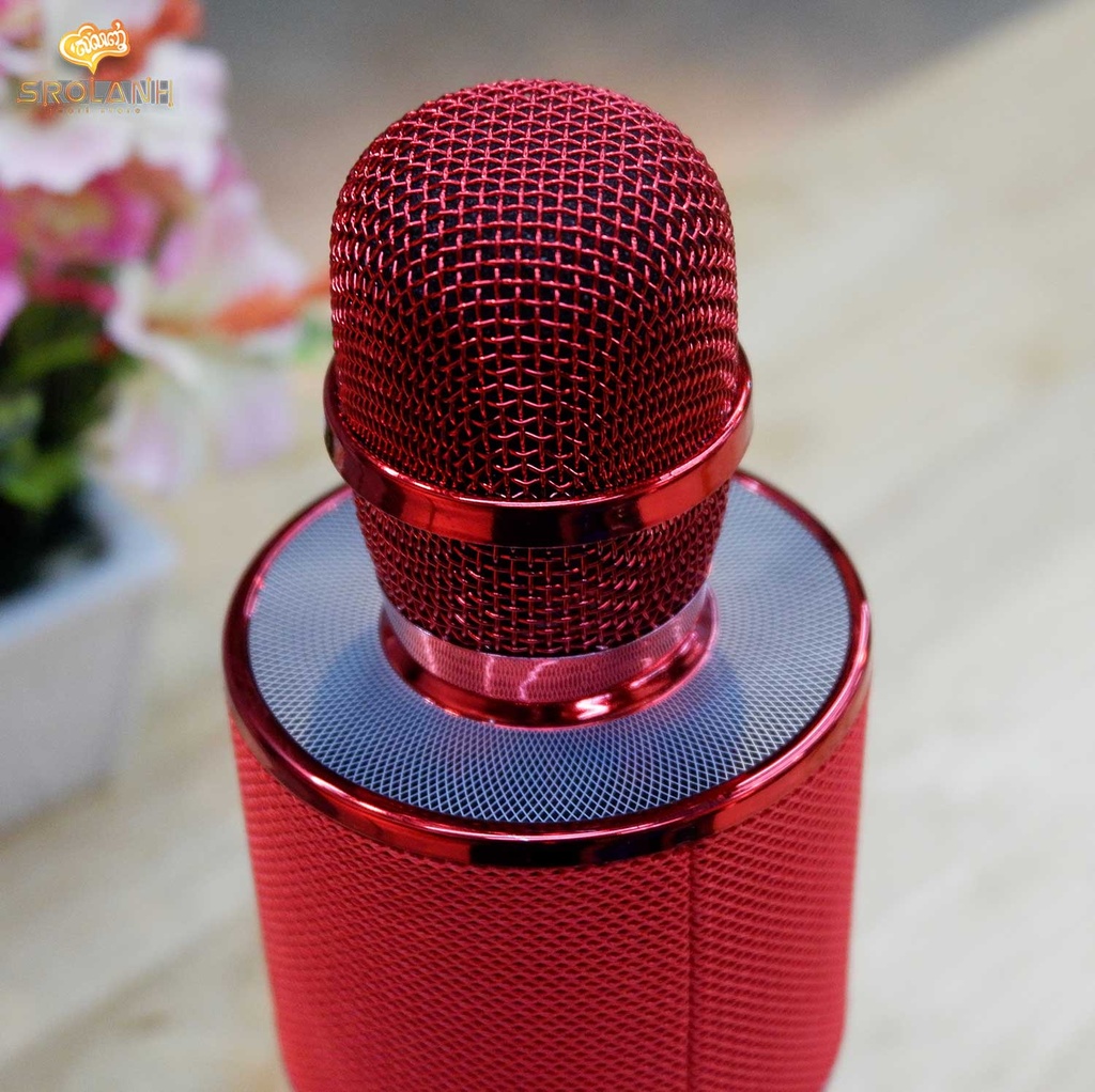 Wireless microphone HIFI speaker 868