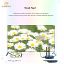 Q5 Wireless Display Mirroring to BIG Screen 5K HDMI