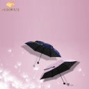 Remax Flower series Umbrella RT-U8