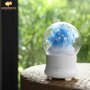 XO HF01 Fragrant Humidifier