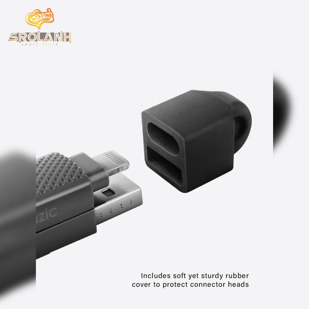 ENERGEA BAZIC Gocharge ALUCABLE 4 in 1, USB A/C input and USB C/Lightning output, PD-1M