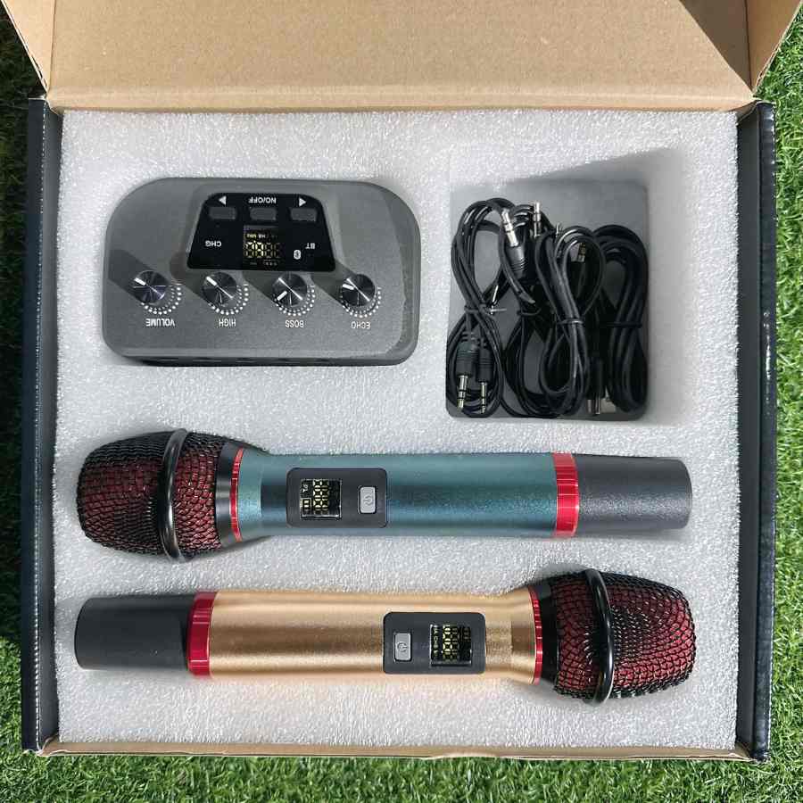 Wireless Vehicular family the karoke Artifact Dual Microphone