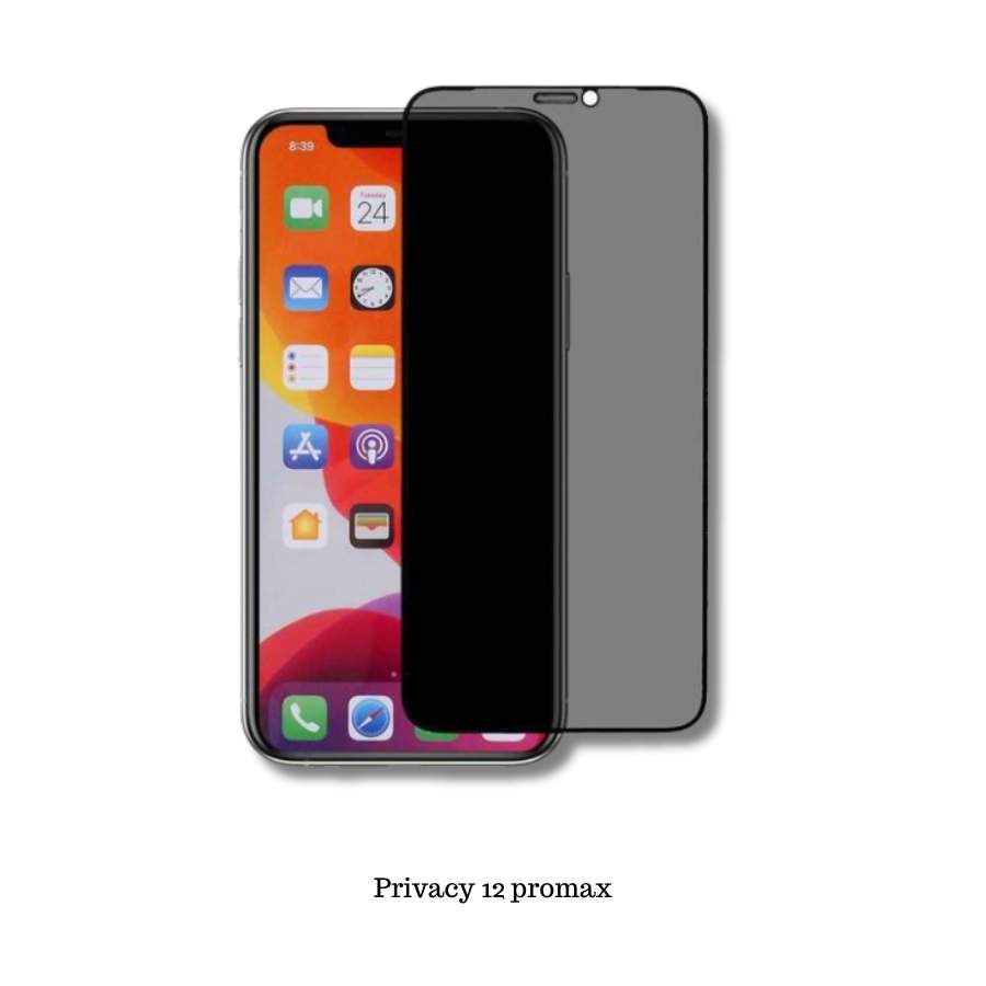 HOCO Privacy Protection MTKA25 for iPhone 12 Pro Max