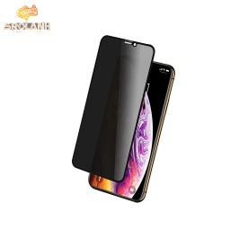 [IPS0339BL] LIT The Full screen Anti-peeping 6D tempered glass GTIPXS-AT01 for iPhone X/XS