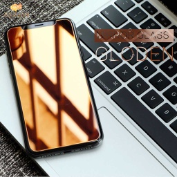 [IPS228GO] LIT The mirror tempered glass GTIPXS-MR0G for iPhone X/XS